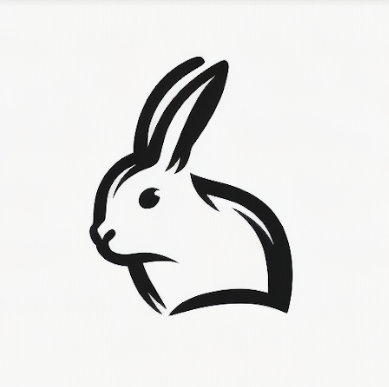Rabbit Ventures photo